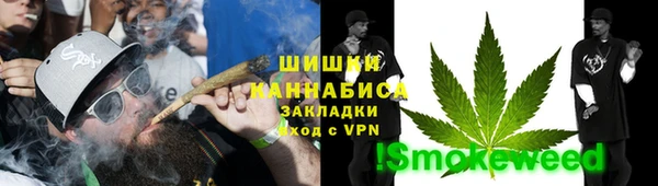 ПСИЛОЦИБИНОВЫЕ ГРИБЫ Пересвет