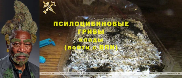 ПСИЛОЦИБИНОВЫЕ ГРИБЫ Пересвет