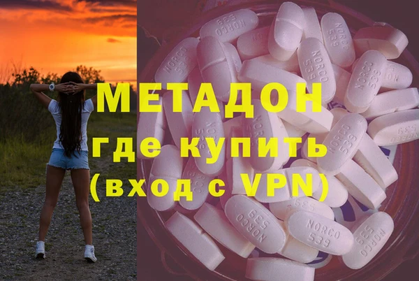 прущие грибы Бородино