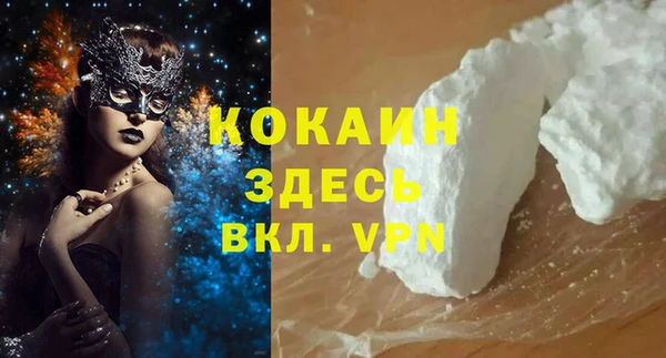 ПСИЛОЦИБИНОВЫЕ ГРИБЫ Пересвет