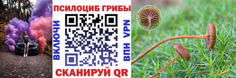 blacksprut ССЫЛКА  Слюдянка  Галлюциногенные грибы Psilocybine cubensis 